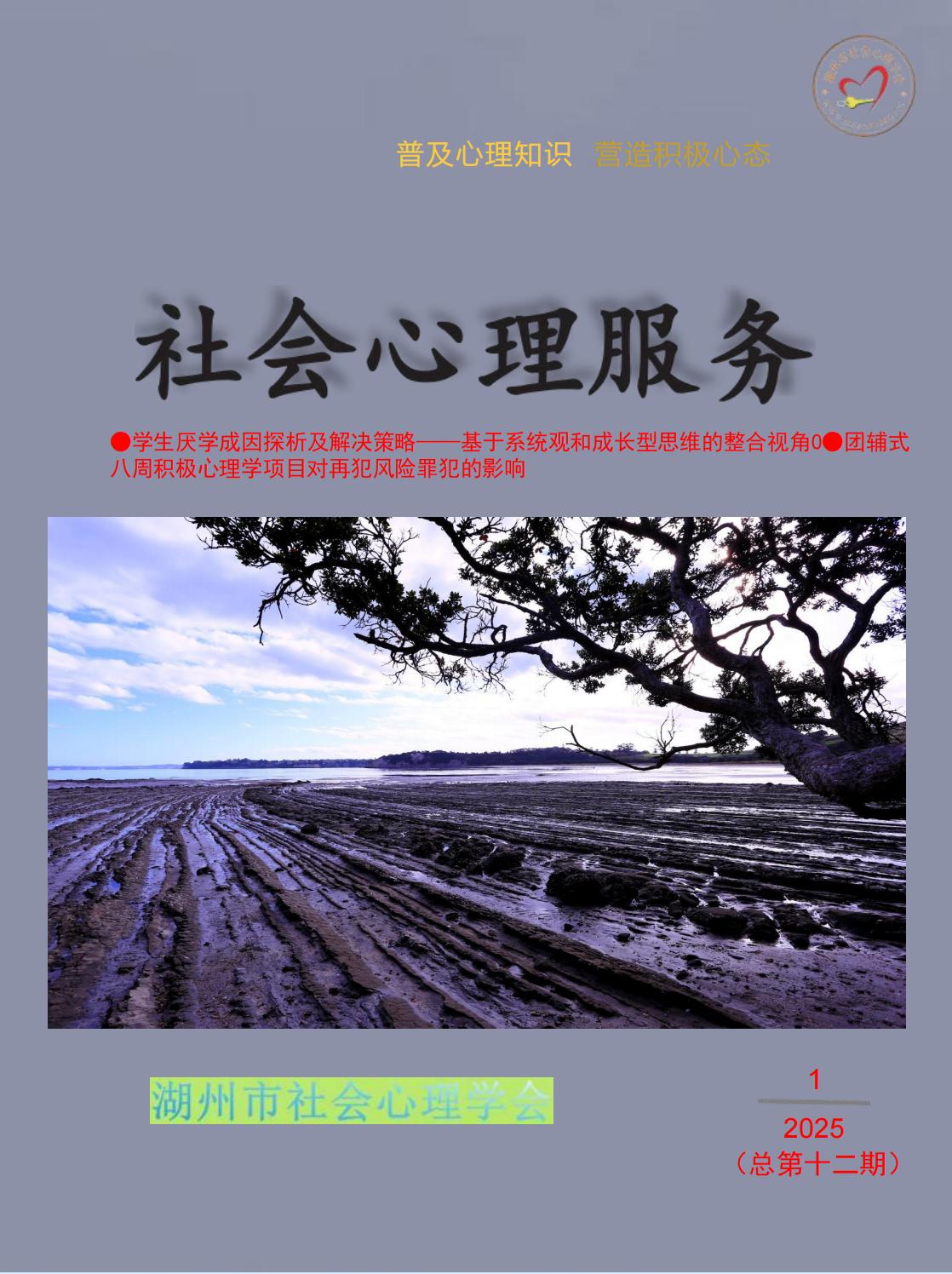 《社会心理服务》杂志（第12期）电子浏览和下载